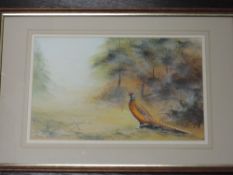 A mixed media painting, Stephen Francis Allen, pheasant in woods, signed and dated (19)87, 22 x