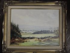 An oil painting, D Whitta, country landscape, signed 30 x 40cm, plus frame, and a print, A