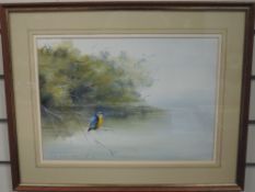 A mixed media painting, Stephen Francis Allen, kingfisher on lake, signed and dated (19)87, 27 x