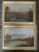 A pair of oil paintings, landscapes, 19th century, 19 x 29cm, plus frame, and an oil painting,