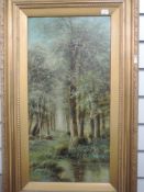 An oil painting, F Owen, woodland vale, signed, 60 x 29cm, plus frame