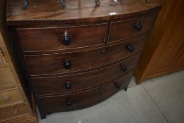 A 19th Century mahogany bow fronted chest of two over three drawers, lovely proportions, width