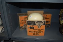 Three as new Greylands Ostrich eggs with original boxes