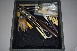 A 1930's taxidermy otters paw brooch, the chromed mount engraved K.D.O.H 'Dallam Tower' May 2