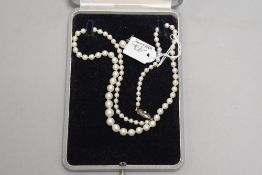 A string of graduated cultured pearls with silver clasp, approx 20'