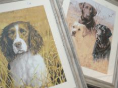 A pair of acrylic paintings, gun dogs, 50 x 40cm, each plus frame and glazed
