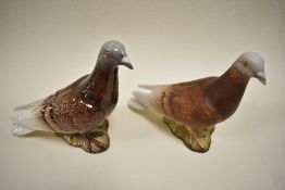 Two Beswick pigeons,2nd version, one matt, one gloss.