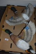 Two wall mounted flying duck figures