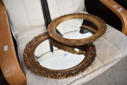 A pair of gilt frame circular wall mirrors