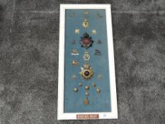 A framed display of Military Cap Badges for Queen Regiments including The Queen's 2nd Queens Royal