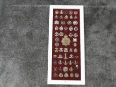 A framed display of Military Cap Badges plus one Helmet Plate including Loyal Regiment, The