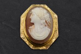 A conch shell cameo brooch depicting a maiden in profile in a yellow metal engraved octagonal