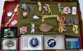 A selection of costume jewellery brooches including Dragon fly, Artisan brooches, and two fashion
