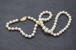 A knotted string of cultured pearls having yellow metal clasp stamped 14K, apptox 18'
