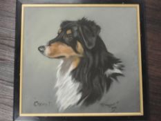 A pastel sketch, E Prosser, Cheviot, border collie, signed and dated 1931, 34 x 36cm,