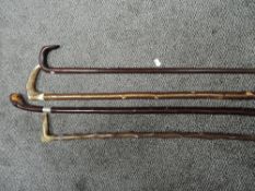 Four walking sticks or canes including horn handled and one having HM silver band
