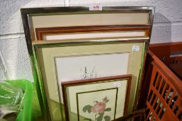 A selection of pictures and prints
