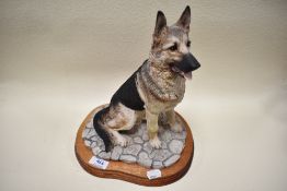 A Border Fine Arts study,German Shepard, seated,style two, B0501,no labels.