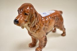 A Goebel red cocker spaniel,CH263,gloss finish.