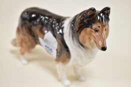 A Royal Doulton study of a rough collie dog,brown gloss finish,H1058 to foot.