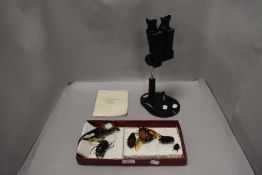 A selection of entomology beetle studies and a Binocular Microscope