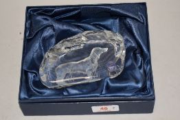 A modern art glass paper weight of a sausage dog by Dartington glass crystal