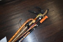 A selection of walking sticks and canes including mountaineering