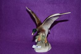An Austrian figure of a Mallard duck in flight by Keramos