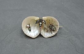 A Victorian yellow metal mounted double shell brooch, ornamented with diamond set spider and foliage