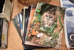 A selection of Country Artist figure brochures and catalogues