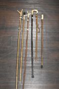 A selection of walking sticks and canes including horn handle and birch wood shafts