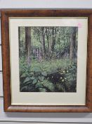 Marion Bradley, (contemporary), after, a print, foxgloves, attributed verso, 25 x 21cm, mounted wood