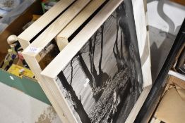 A selection of mid century framed photographs