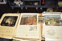 20th century Shell educational advertising charts for the British country side and counties, Henry