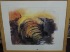 A contemporary watercolour, study of an elephant in earthy tones, initialled RC lower left,