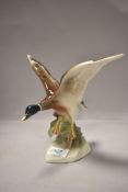 An Austrian figure of a Mallard duck in flight by Keramos