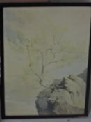 William Heaton Cooper, (1903-1995), after, a print, tree cliff, 44 x 31cm, framed and glazed, 47 x