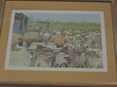Sylvia Frattini, (contemporary), a Ltd Ed print, Sheep Gathering, signed, and num 60/75, 17 x