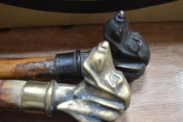 Two walking sticks with cast dogs head tops
