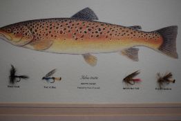 Two framed fishing fly specimen pictures