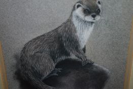 Two prints by Sue Wills one of an otter and one of a Badger