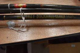 Two fly rods A 9.5ft 2 pc geoffrey bucknall carbon rod and a Golden lion 2pc carbon rod