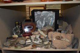 A large collection of prehistoric semi precious stone, rock, mineral and fossil samples of