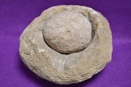 A stone pestle and mortar or grain grinder being hand carved in a birds nest design