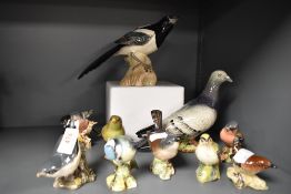 A collection of Beswick bird studies to include large Magpie and Wood pigeon.
