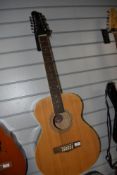 A Woodstock 12 string guitar , with gig bag