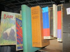 Library volumes and text books Harry Potter interest