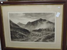 J MacWhitten, (19th/20th century), after, a print, monochrome, Highland sheep, dated 1903, 46 x