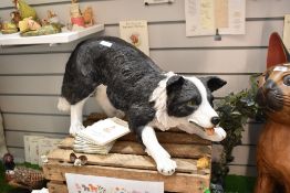 A realistic study of a sheep dog by Hotant