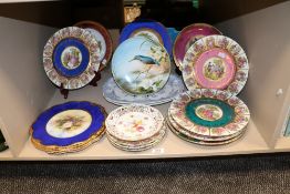 A selection display and table plates including hand painted Kingfisher plate